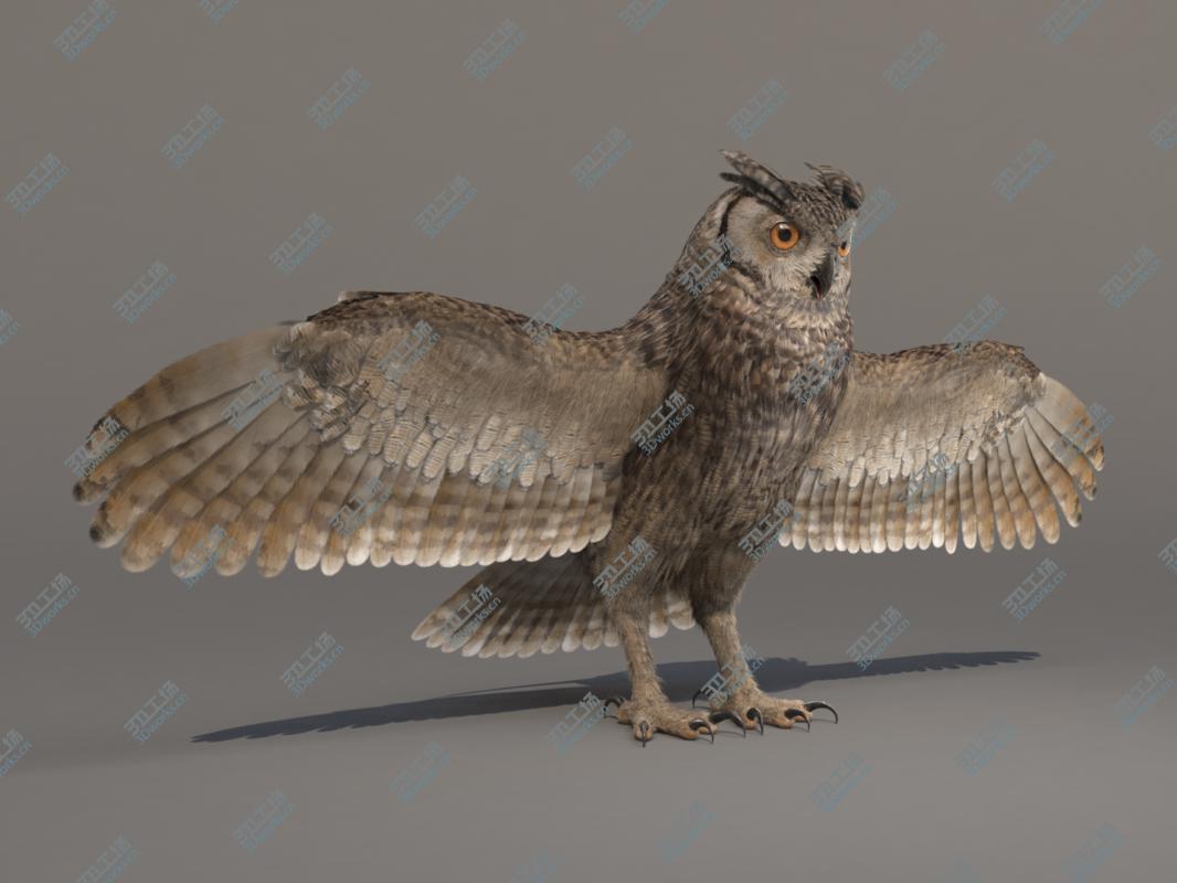 images/goods_img/2021040164/3D Owl/3.jpg